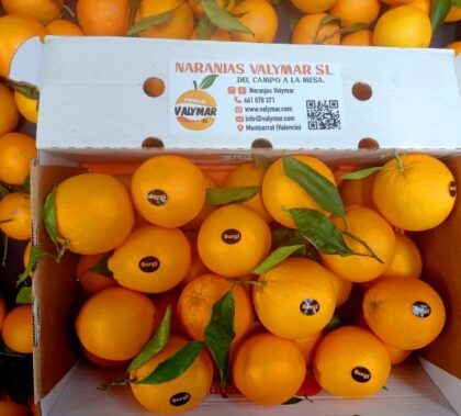 Naranjas Especial Grandes