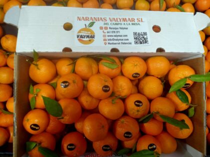 Mandarinas Especial Grandes